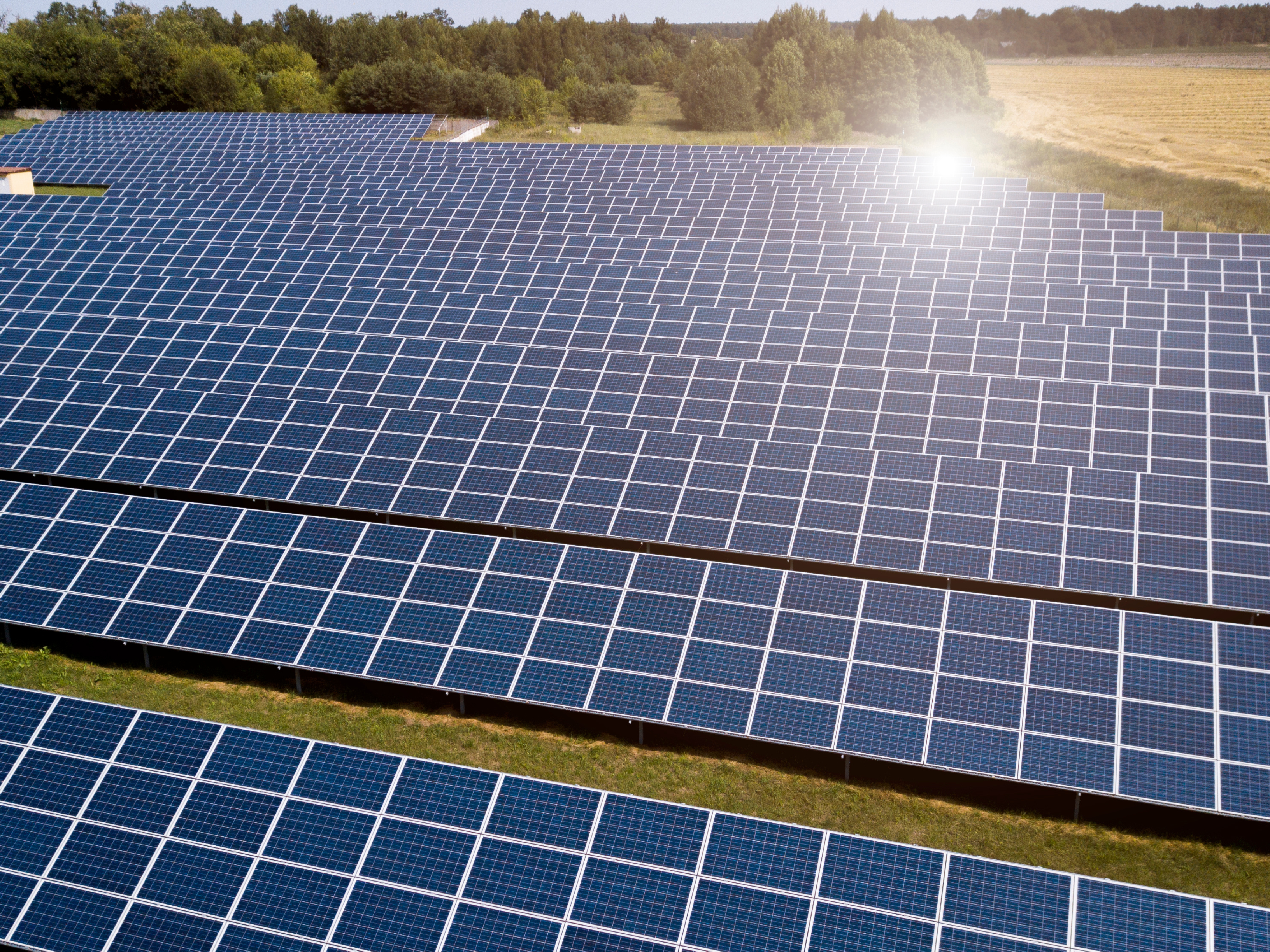 Solar farm with rows of solar panels in an open field, generating renewable energy under clear skies.